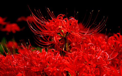 659816 (a): :1920x1200